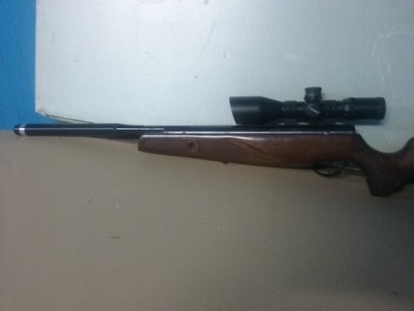 Hola a todos.

Pongo a la venta estas dos carabinas:

Weihrauch HW97k 5.5 black line   230 euros
BSA Lightning 10