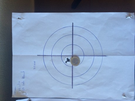 Bueno,pues lo dicho ya tengo mi primer bullpup,es un vulcan del calibre 6.35, de momento no os puedo contar 132