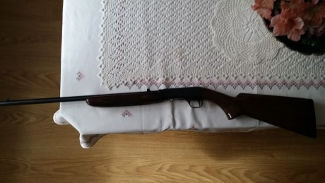 Hola,

Vendo carabina de la marca Miroku, calibre 22 LR, es desmontable en dos partes girando un cuarto 02