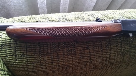 Hola,

Vendo carabina de la marca Miroku, calibre 22 LR, es desmontable en dos partes girando un cuarto 01
