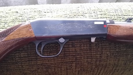 Hola,

Vendo carabina de la marca Miroku, calibre 22 LR, es desmontable en dos partes girando un cuarto 00