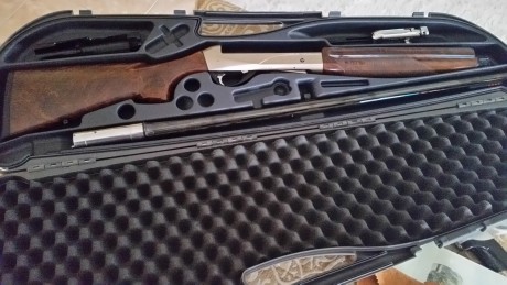 Hola, vendo escopeta Benelli Crio calibre 12, con banda de carbono cañon de 71 cm y prácticamente sin 12