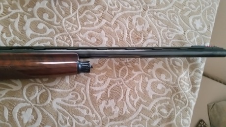 Hola, vendo escopeta Benelli Crio calibre 12, con banda de carbono cañon de 71 cm y prácticamente sin 11