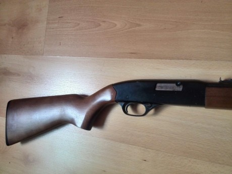 Vendo o cambio carabina winchester del cal 22  en buen estado que ya no uso para nada 
cambiaria o vendería 02