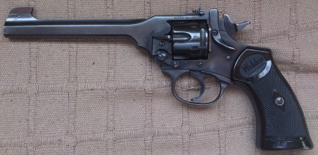 Hola, queria preguntaros sobre este revolver. Lo que lo caracteriza es que tiene un alza graduable y he 10