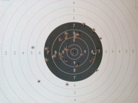 Hola.

En las especificaciones de este revolver hablan de 7 estrías, pero estoy viedo algunos ejemplares 20