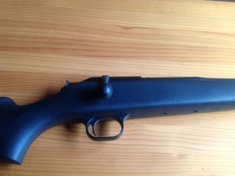 Vendo este rifle en perfecto estado con pocos tiros y buena conservación. 
También dispongo de una montura 11