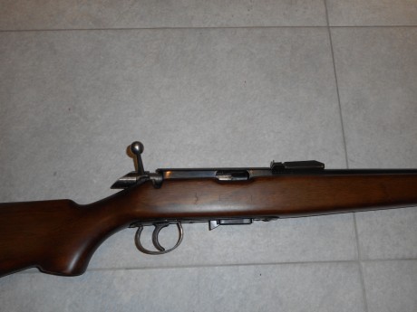 *********************VENDIDA*************************************


VENDO CARABINA ONENA DEL CALIBRE 9parabellum 01