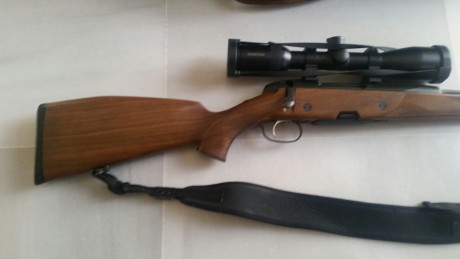 Vendo rifle Manlincher ultralight 308, montura apel y visor swaroski z6,  2 - 12 x 50 con torreta balistica.
No 01