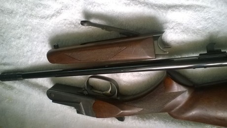 Vendo monotiro Thompson ( modelo TCR aristocrat 87), calibre 22-250 con freno de boca homologado,agrupaciòn 00