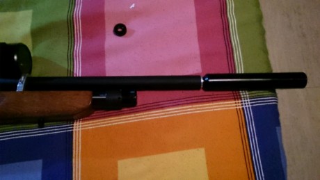 Buenas, os presento mi Cometa Orion SH .25 personalizada por D.Jose Blanco, amigo y paisano......silenciada 00