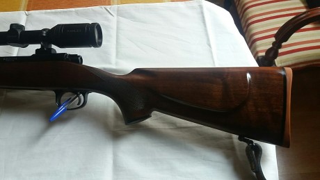 Buenas,

Se vende Winchester mod 70 pre 64, 300wm. Monturas QR. Visor Khales CT 2-7x36. Es un pre 64 real, 21