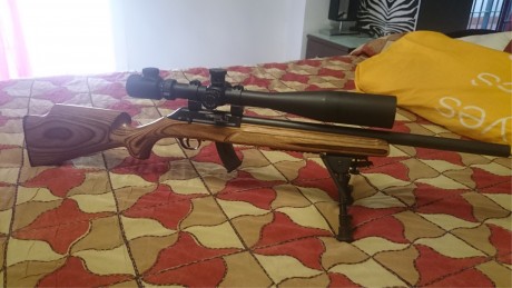 Hola.
Cambio mi carabina Thompson R55 BenchMark de cañón Bull y madera laminada, espectacular en todo, 00