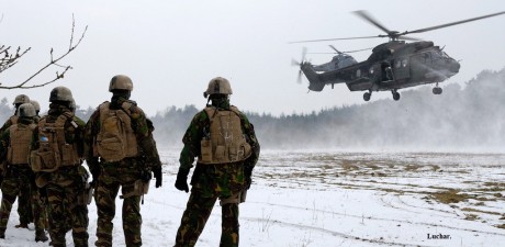 Hola a todos..... :saluting-soldier: 

  Vídeos y temas de las Fuerzas Especiales mundial.  
 
Holandés 41