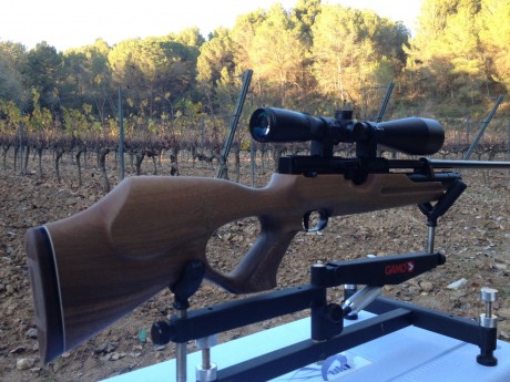 Carabina de la prestigiosa marca alemana Weirhauch Hw100TK en calibre 5,5 con cañón de 60cm 
En perfecto 00