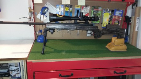 Se vende un magnifico rifle y con una precision de menos de 1/2 moa a 100m.
El rifle se compone de accion 01
