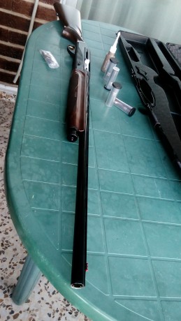 Un amigo que NO ES CAZADOR , compro esta Benelli Bemonte II NUEVA , no ha salido de caza , la probo en 12