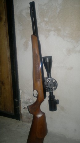 buenas tardes. 
Pongo en venta una carabina pcp rohm tm 200 en calibre 4.5mm.
Para tiro de iniciacion 70