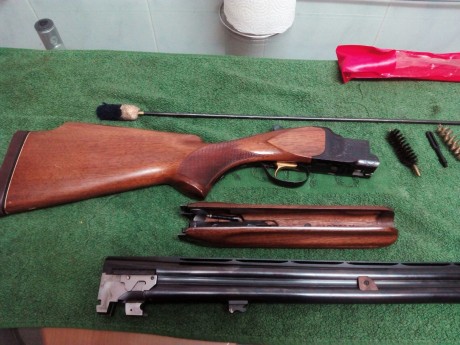 Hola, un familiar vende esta impresionante escopeta, el estado es perfecto e incluye, se adjunta funda, 02
