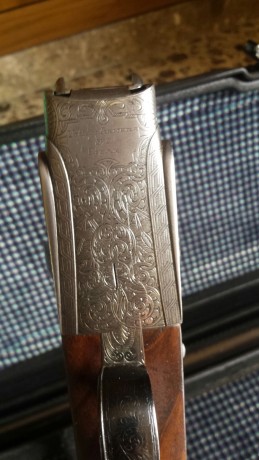 Pues para  coger otra arma vendo mi unión armera 217 con 72 cm de cañón 4 y 8 décimas expulsora con orejeras 11