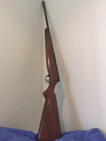 Vendo Escopeta Norica está en un grandísimo estado de conservación es del año 2001 pero está como nueva, 02
