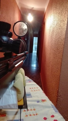 Pues lo dicho, con el viento.que teniamos hoy en Valencia, me he montado mi galeria de tiro y he hecho 11