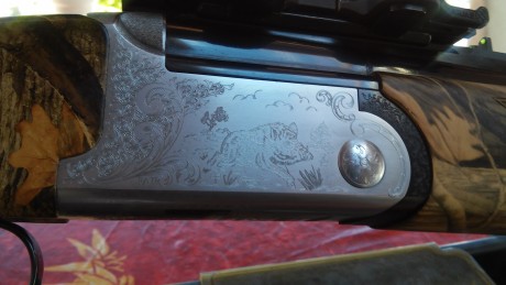 Vendo rifle combinado marca italiana Fair....calibre de escopeta 12/76...calibre de rifle....6'5x55.
Culata 01