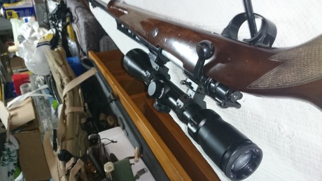 Rifle con alza de batida, monturas Appel y visor Bushnell   1´5-6x50 Tubo de 30,Culata con cama de resina, 02
