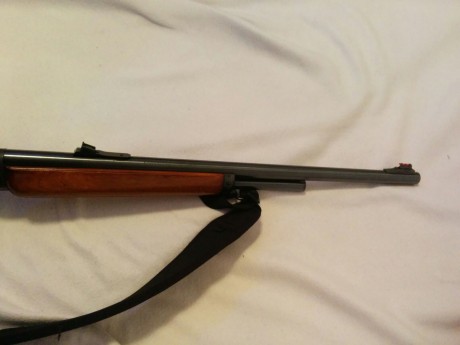 Buenos dias:
Se vende marlin de palanca calibre 444. Cañon microestriado. Maderas y pavon en buen estado. 00