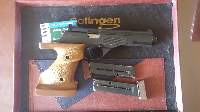 Se vende pistola semiautomática de la marca Sig. Sauer, modelo p232 SL del calibre 380 acp (9 corto). 82