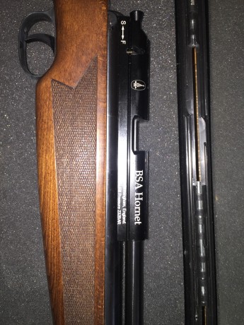 Hola vendo  mi BSA Hornet del calibre 5,5 esta muy nueva lleva unos 600 tiros que le hice durante la compra 00