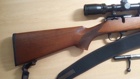 Pongo a la venta una carabina Zastaba, casi nueva la adquiri en junio de 2010, esta perfecta y habra tirado 21