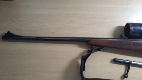 Pongo a la venta una carabina Zastaba, casi nueva la adquiri en junio de 2010, esta perfecta y habra tirado 30