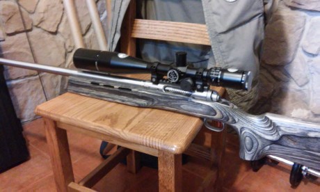 Vendo rifle marca savage...modelo 12 bench rest...calibre 6'5-284 norma.
El rifle está sin estrenar......vendo 01
