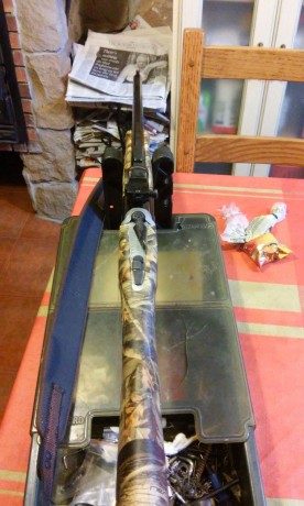 Rifle combinado marca italiana Fair....calibres 12/76 y 6'5x55....con carril para montar punto rojo.
En 01