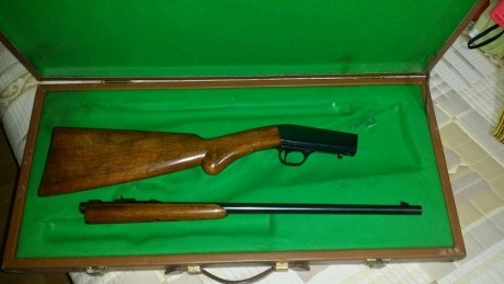 Hola, un amigo vende el fondo de armario que no gasta y me pide que le ponga a la venta estas dos carabinas 00