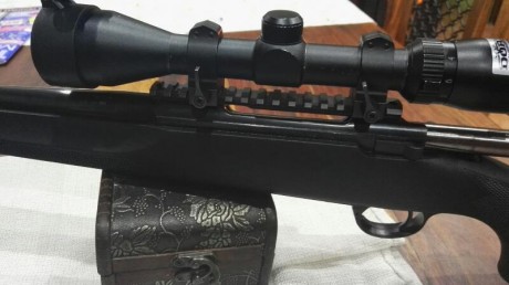 Calibre 308 y decir que tiene unos 20 tiros hechos el carril es tipo warne y las monturas son warne maxima 10