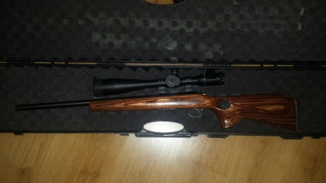 Voy a poner a cambiar estas armas que ya no quiero por algo que me interese, armas de avancarga, calibre 02