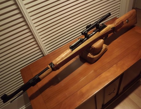 Estaría dispuesto a considerar el cambio del siguiente lote por una carabina Ruger 10/22 en excelentes 00