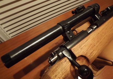 Estaría dispuesto a considerar el cambio del siguiente lote por una carabina Ruger 10/22 en excelentes 11