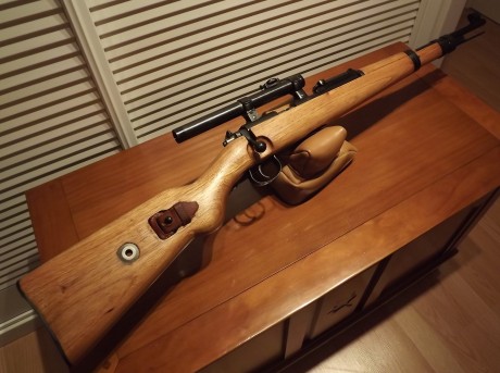 Estaría dispuesto a considerar el cambio del siguiente lote por una carabina Ruger 10/22 en excelentes 10