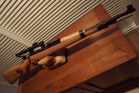 Estaría dispuesto a considerar el cambio del siguiente lote por una carabina Ruger 10/22 en excelentes 22