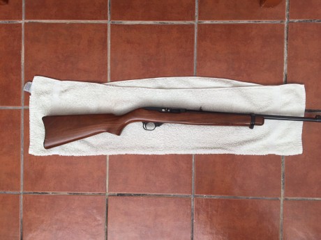 Vendo carabina Ruger 10/22 semiautomática. Cargador de 10 disparos rotativo. Funcionamiento perfecto. 12