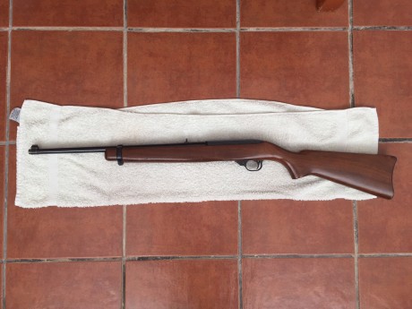 Vendo carabina Ruger 10/22 semiautomática. Cargador de 10 disparos rotativo. Funcionamiento perfecto. 11