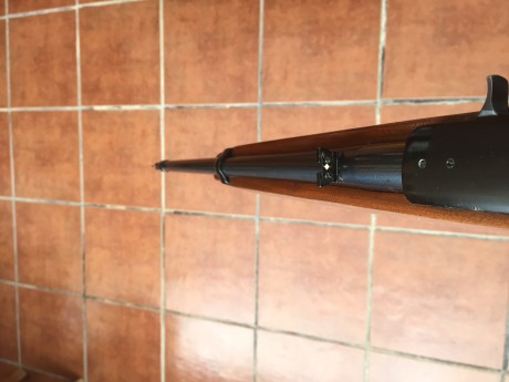 Vendo carabina Ruger 10/22 semiautomática. Cargador de 10 disparos rotativo. Funcionamiento perfecto. 10