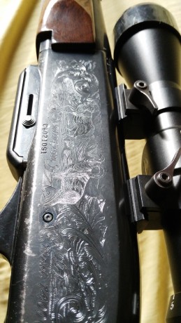 Vendo rifle semiautomático Remington 7400 cal 30-06 con 3cargadores  monturas warne desmontable mira Rolls 00