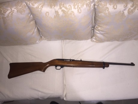 Vendo carabina Ruger 10/22 semiautomática. Cargador de 10 disparos rotativo. Funcionamiento perfecto. 20