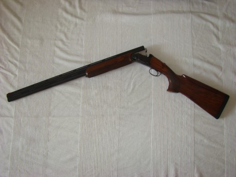 Vendo Rizzini premier trap 76 de cañon, choques fijos 2 y 1, culata regulable. Precio 950€.

 RizWea 009.JPG 02