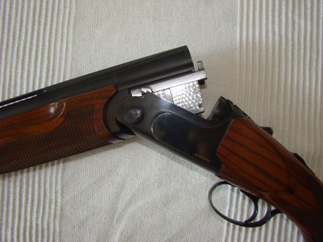Vendo Rizzini premier trap 76 de cañon, choques fijos 2 y 1, culata regulable. Precio 950€.

 RizWea 009.JPG 01
