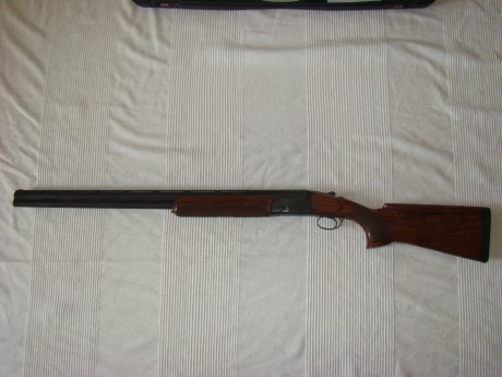 Vendo Rizzini premier trap 76 de cañon, choques fijos 2 y 1, culata regulable. Precio 950€.

 RizWea 009.JPG 00